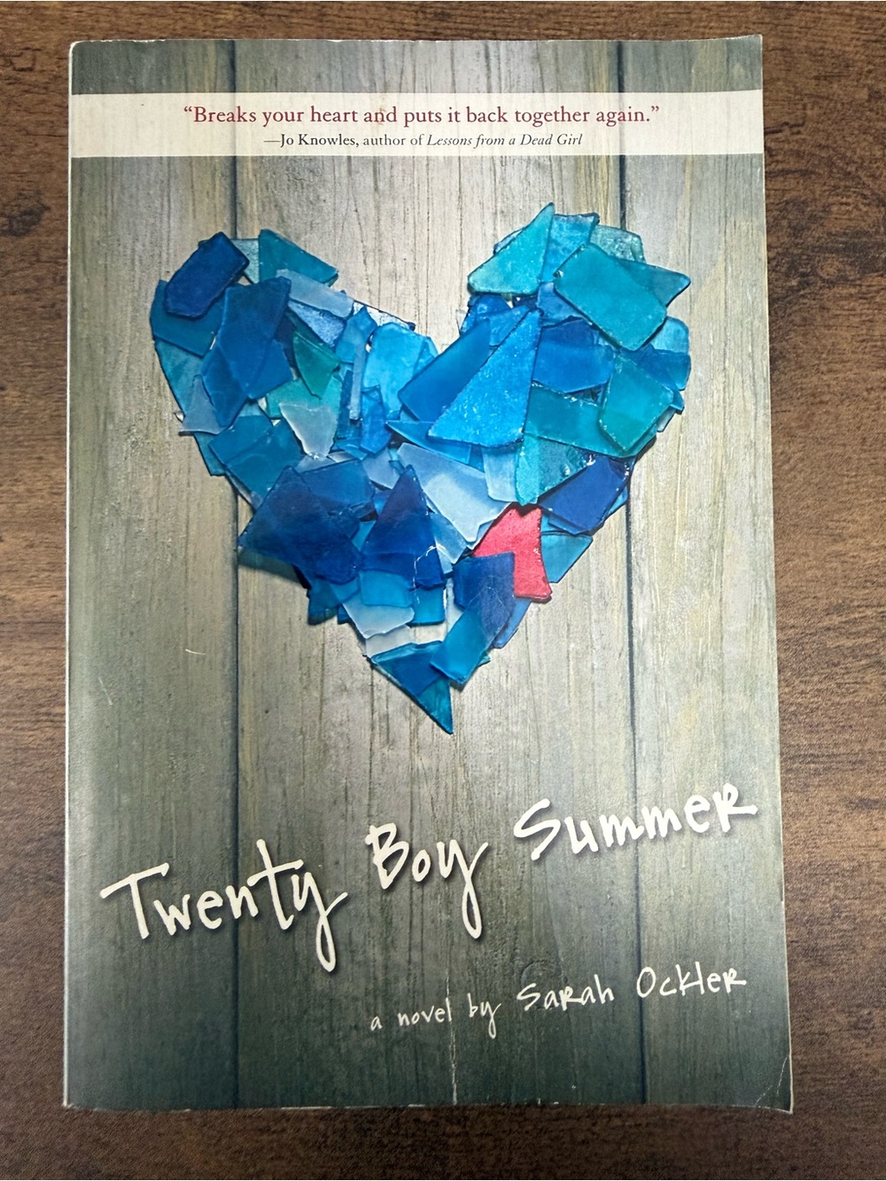 💚4/$20 Twenty Boy Summer by Sarah Ockler - Paperback Novel